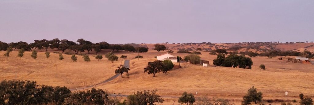 Les collines natales de mes parents et repère de toutes mes vacances d'enfance. C'est là que je puise mes racines, mes origines portugaises avant l'immigration de mes parents en France.