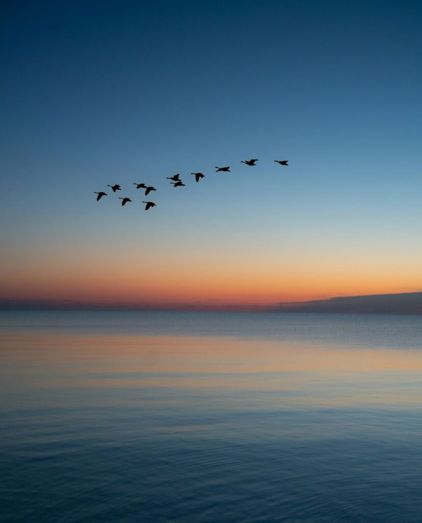 Faire le récit de son parcours d'exil ou d'immigration pour transmettre ses racines et son histoire familiale à ses enfants et petits enfants