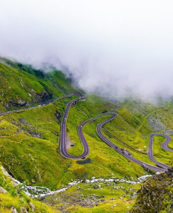 vies-deplacees3 Rédiger le livre de votre trajectoire déplacée et déracinée par la vie